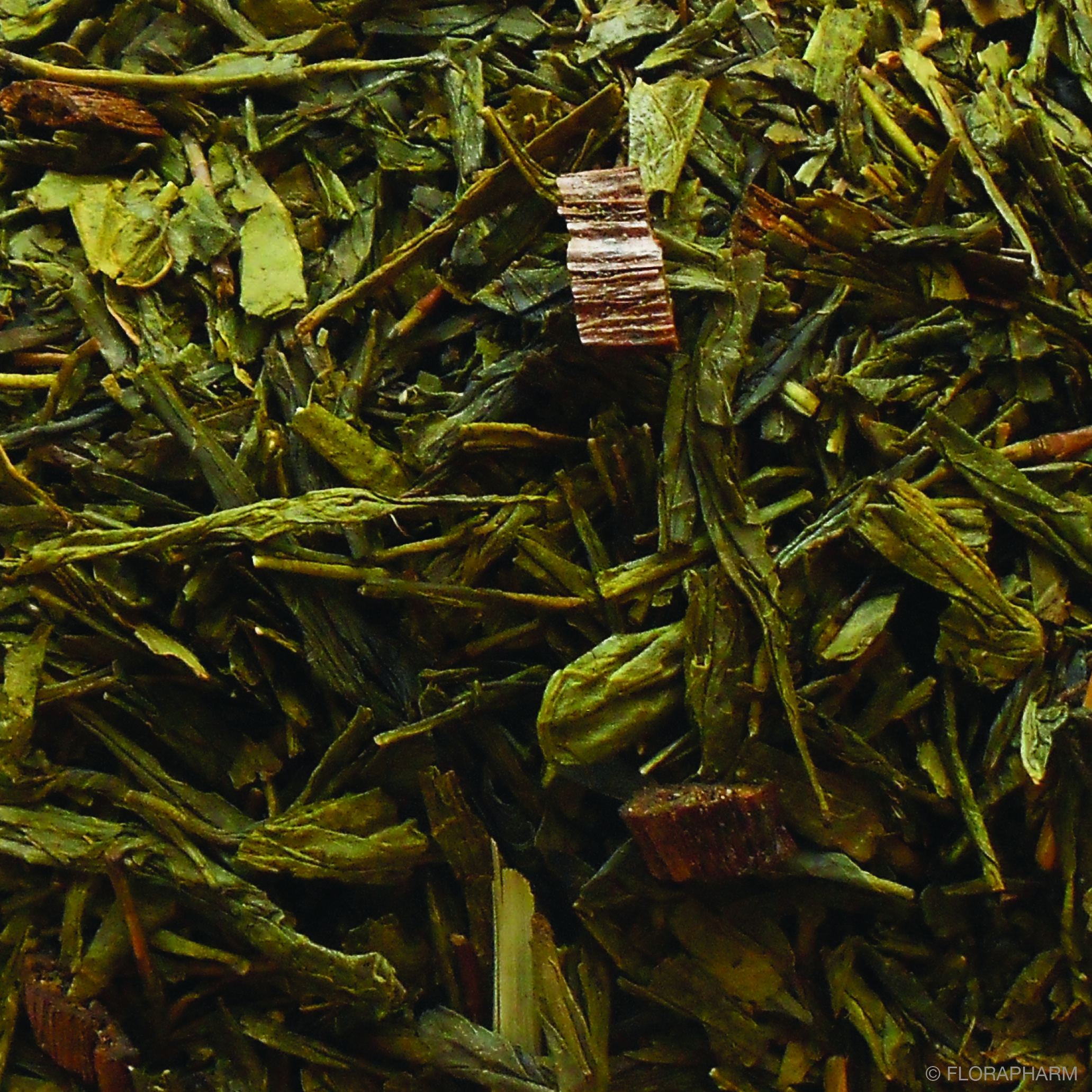 Vanille Sahne - Grüner Tee, aromatisiert | www.teezeit.de